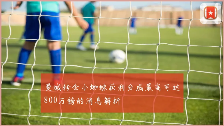 曼城转会小蜘蛛获利分成最高可达800万镑的消息解析