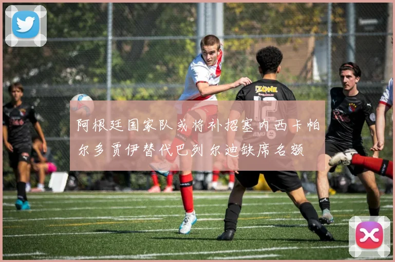 阿根廷国家队或将补招塞内西卡帕尔多贾伊替代巴列尔迪缺席名额