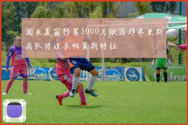 国米夏窗预算5000万欧若邓弗里斯离队将追求帕莱斯特拉